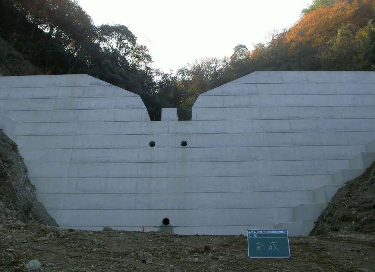 実績